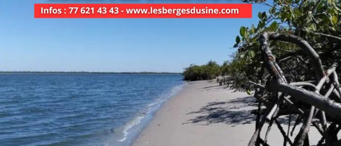 485379610_631885162930655_6084579210963048055_n