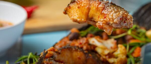 485722515_633601359425702_283874501354105769_n